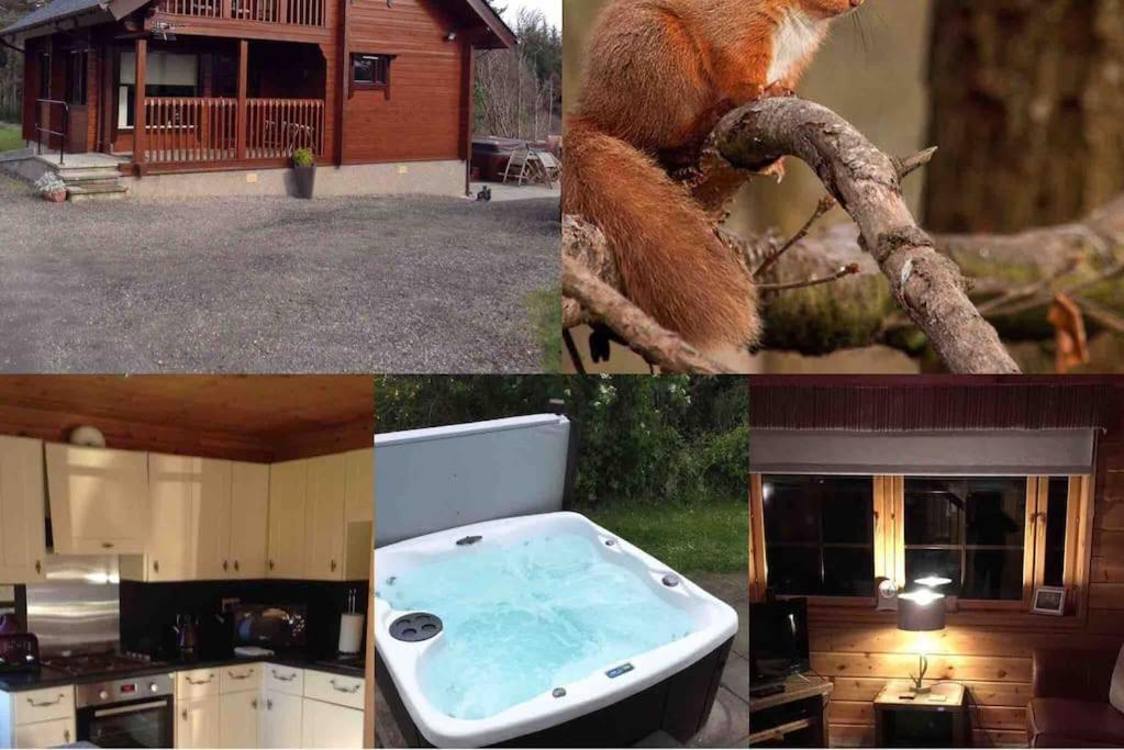 Red Squirrel Log Cabin With Hot Tub Keith Εξωτερικό φωτογραφία